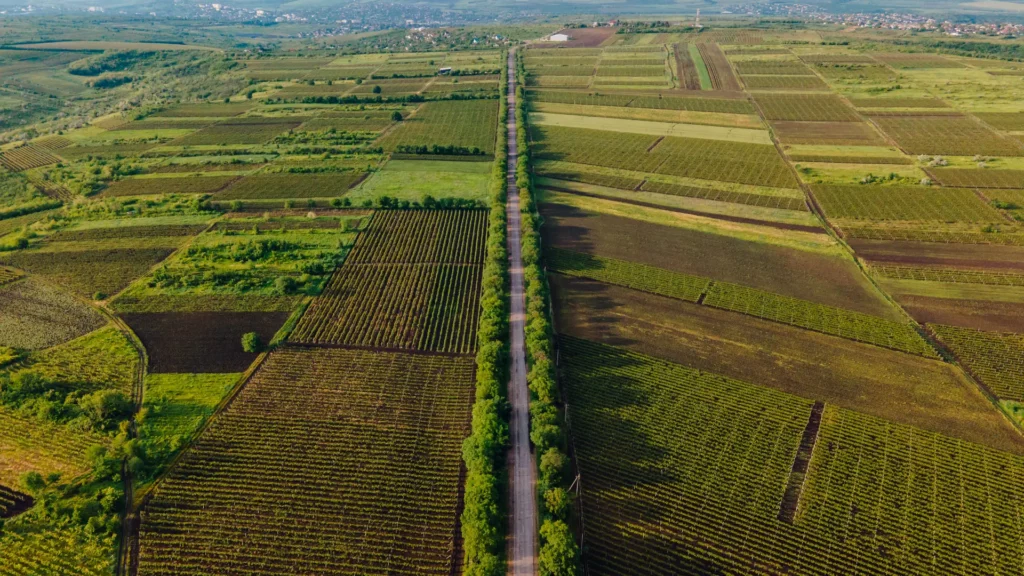 Visão aérea feita por drone de vários campos adjacentes a uma estrada arborizada.